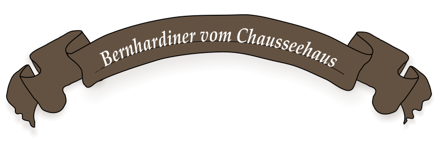 BBernhardiner vom Chausseehaus