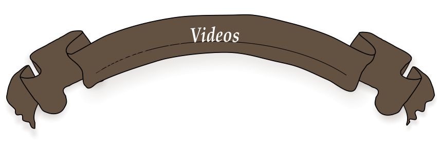 Bunsere    VV Videos