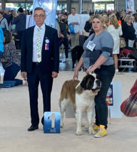 World Dog Show 2021/Tschechien, Gabija Papillon vom Chausseehaus. Besitzer Fam. Fritzsche